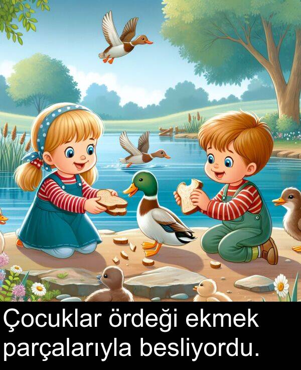 ekmek: Çocuklar ördeği ekmek parçalarıyla besliyordu.