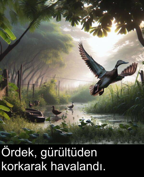korkarak: Ördek, gürültüden korkarak havalandı.