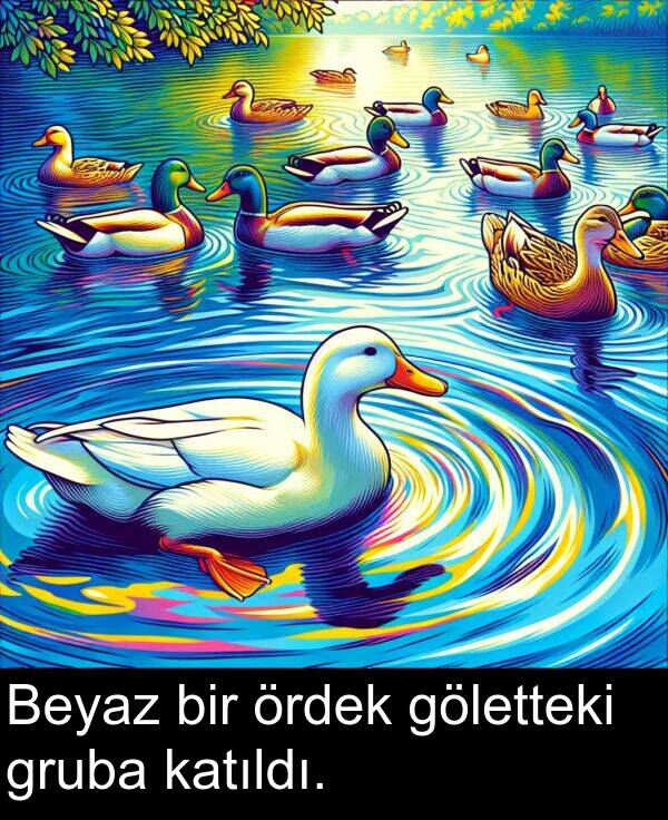 göletteki: Beyaz bir ördek göletteki gruba katıldı.