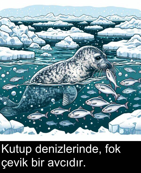 fok: Kutup denizlerinde, fok çevik bir avcıdır.