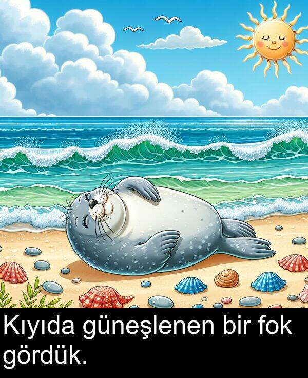 fok: Kıyıda güneşlenen bir fok gördük.