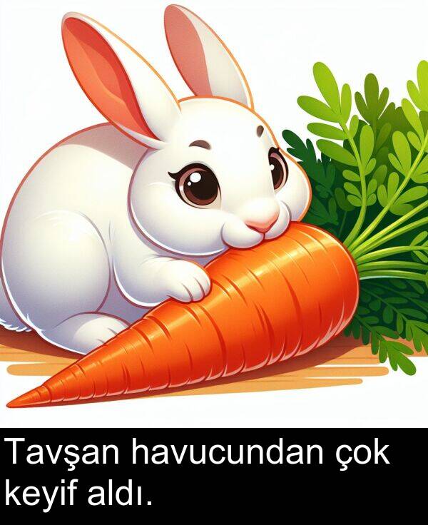 keyif: Tavşan havucundan çok keyif aldı.