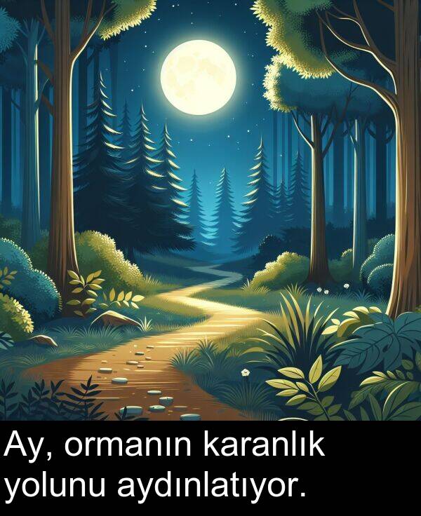 aydınlatıyor: Ay, ormanın karanlık yolunu aydınlatıyor.