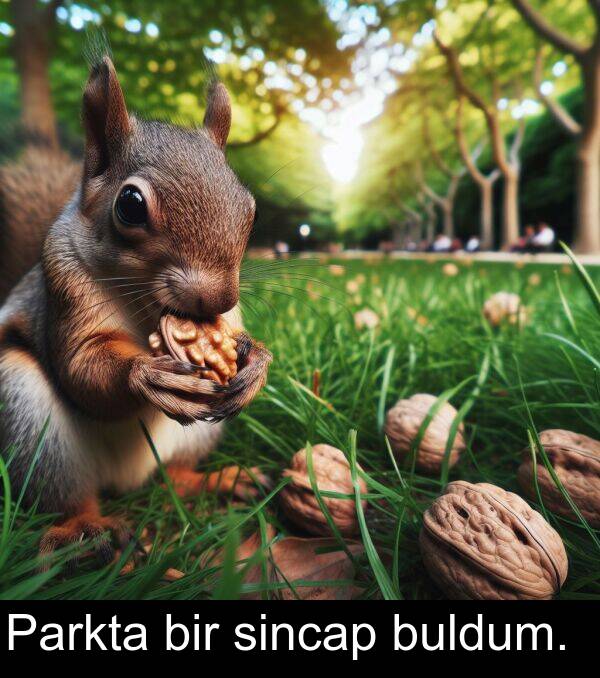 buldum: Parkta bir sincap buldum.