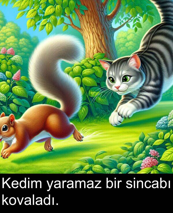 yaramaz: Kedim yaramaz bir sincabı kovaladı.