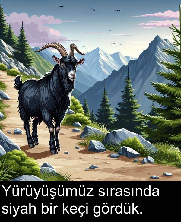sırasında: Yürüyüşümüz sırasında siyah bir keçi gördük.