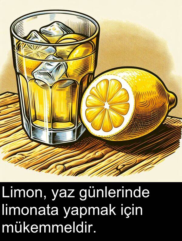 yapmak: Limon, yaz günlerinde limonata yapmak için mükemmeldir.