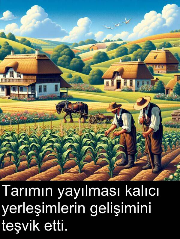 gelişimini: Tarımın yayılması kalıcı yerleşimlerin gelişimini teşvik etti.