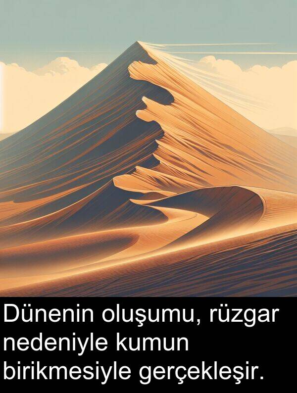 gerçekleşir: Dünenin oluşumu, rüzgar nedeniyle kumun birikmesiyle gerçekleşir.
