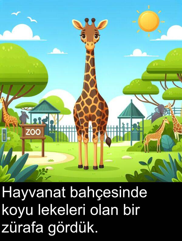 zürafa: Hayvanat bahçesinde koyu lekeleri olan bir zürafa gördük.
