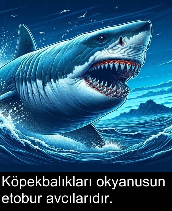etobur: Köpekbalıkları okyanusun etobur avcılarıdır.