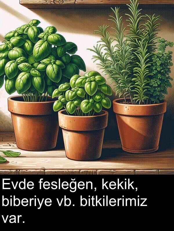 vb: Evde fesleğen, kekik, biberiye vb. bitkilerimiz var.