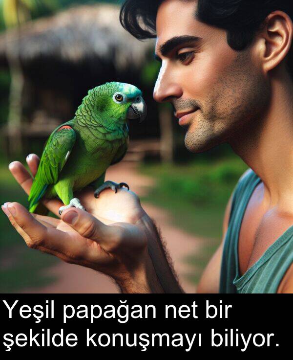 net: Yeşil papağan net bir şekilde konuşmayı biliyor.