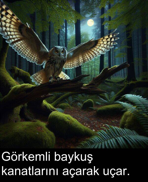 uçar: Görkemli baykuş kanatlarını açarak uçar.