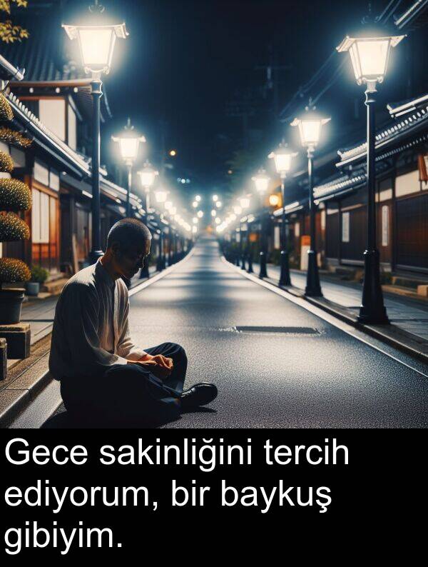 sakinliğini: Gece sakinliğini tercih ediyorum, bir baykuş gibiyim.