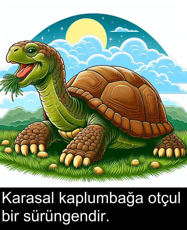 sürüngendir: Karasal kaplumbağa otçul bir sürüngendir.