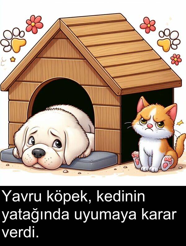 uyumaya: Yavru köpek, kedinin yatağında uyumaya karar verdi.