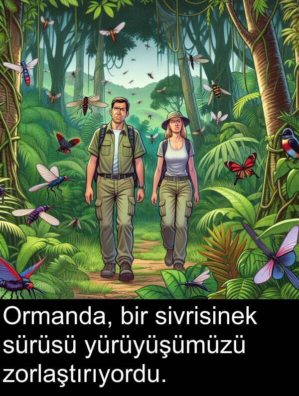 zorlaştırıyordu: Ormanda, bir sivrisinek sürüsü yürüyüşümüzü zorlaştırıyordu.