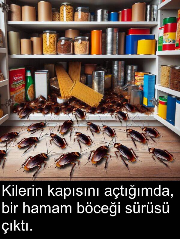 açtığımda: Kilerin kapısını açtığımda, bir hamam böceği sürüsü çıktı.