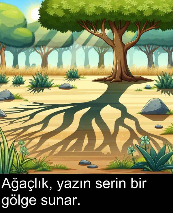 serin: Ağaçlık, yazın serin bir gölge sunar.