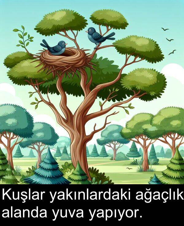ağaçlık: Kuşlar yakınlardaki ağaçlık alanda yuva yapıyor.