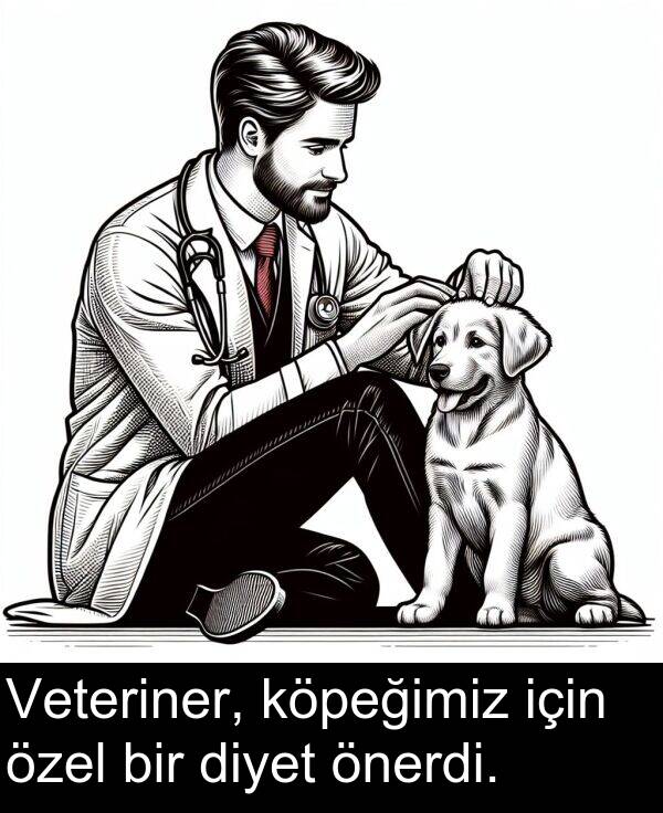 özel: Veteriner, köpeğimiz için özel bir diyet önerdi.