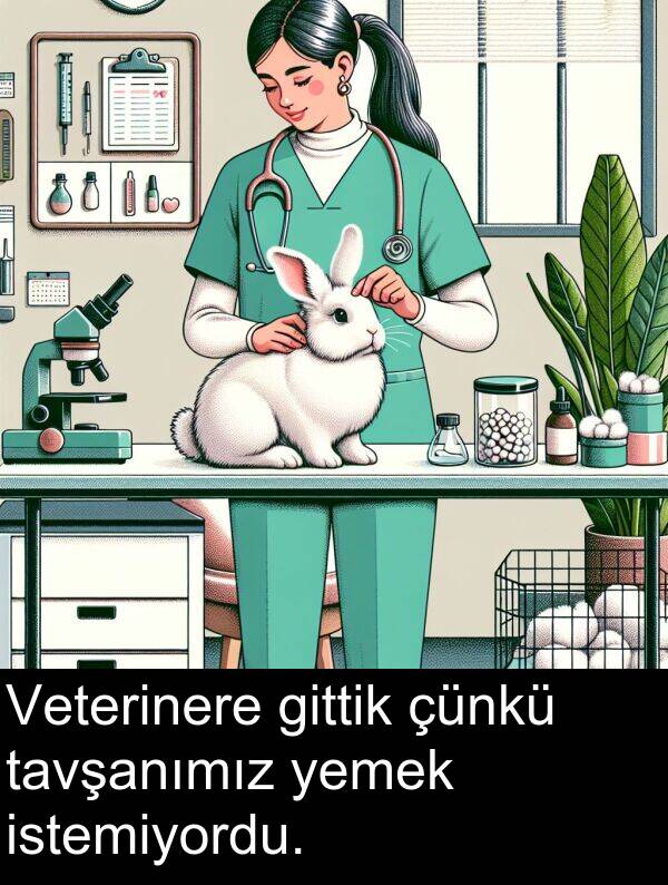 gittik: Veterinere gittik çünkü tavşanımız yemek istemiyordu.