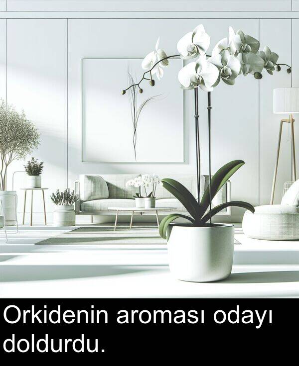aroması: Orkidenin aroması odayı doldurdu.