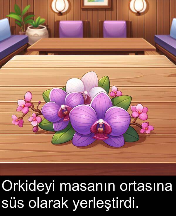 yerleştirdi: Orkideyi masanın ortasına süs olarak yerleştirdi.