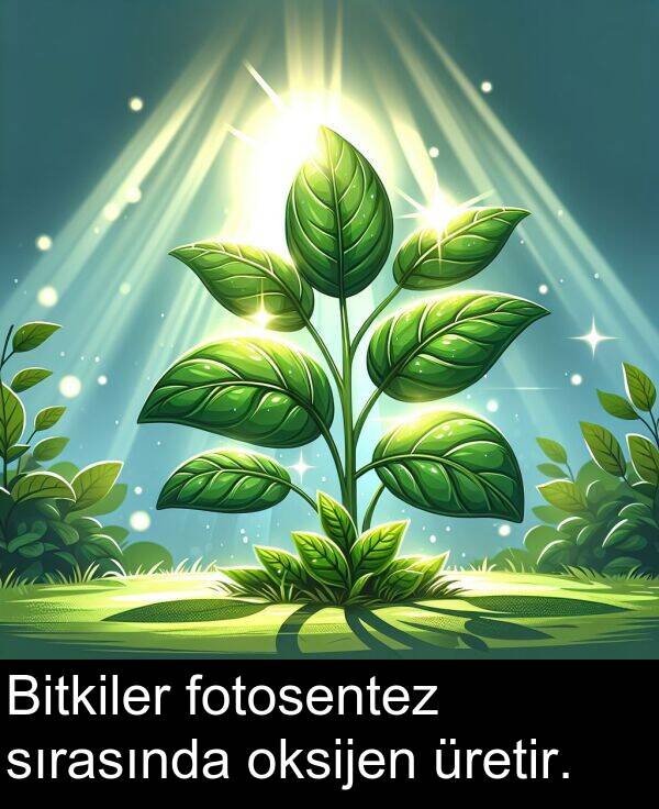 fotosentez: Bitkiler fotosentez sırasında oksijen üretir.