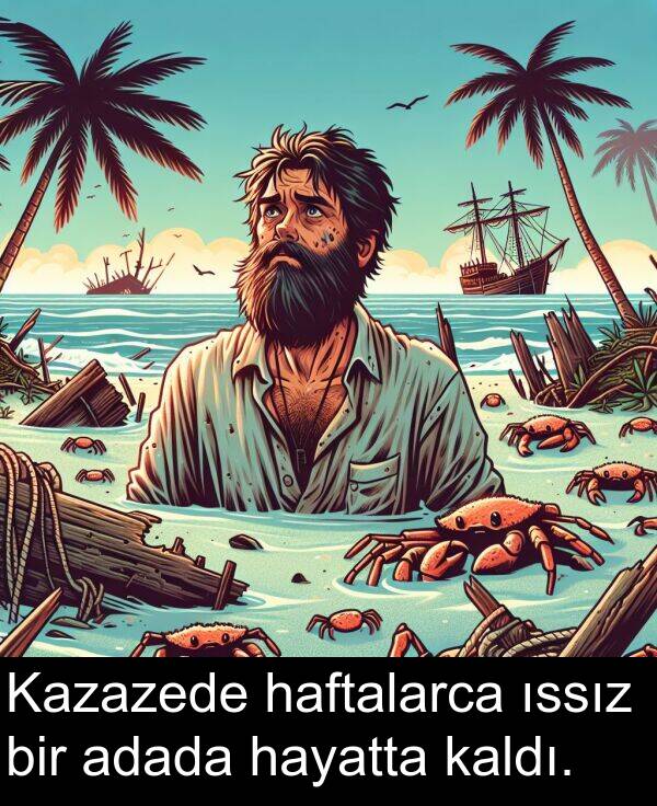 adada: Kazazede haftalarca ıssız bir adada hayatta kaldı.