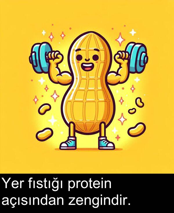 zengindir: Yer fıstığı protein açısından zengindir.