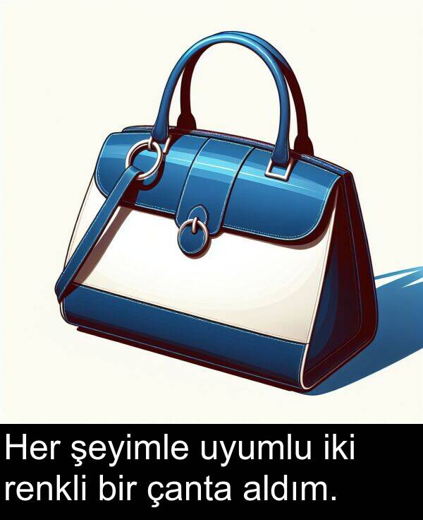uyumlu: Her şeyimle uyumlu iki renkli bir çanta aldım.