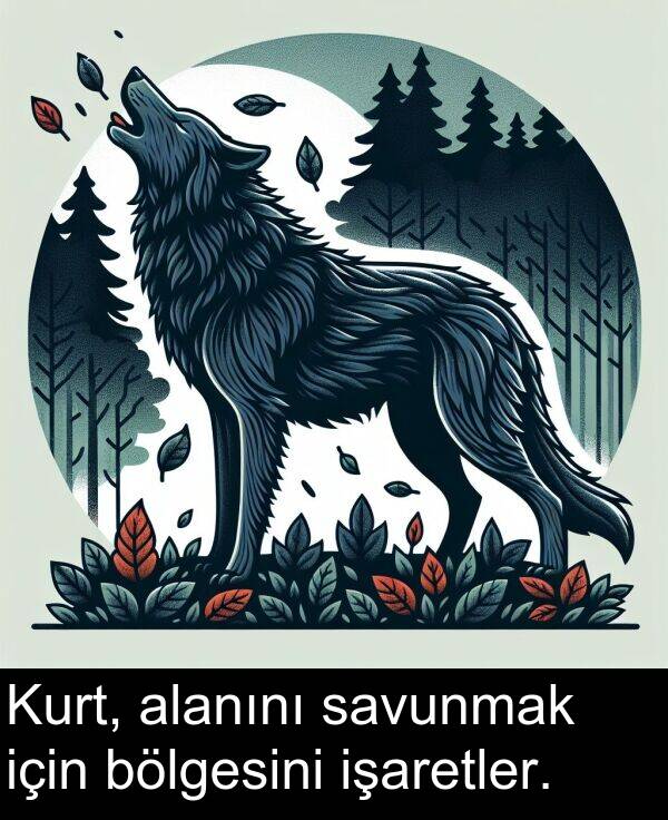 bölgesini: Kurt, alanını savunmak için bölgesini işaretler.