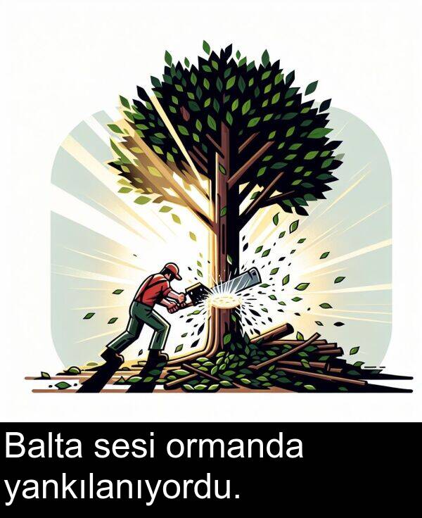 sesi: Balta sesi ormanda yankılanıyordu.
