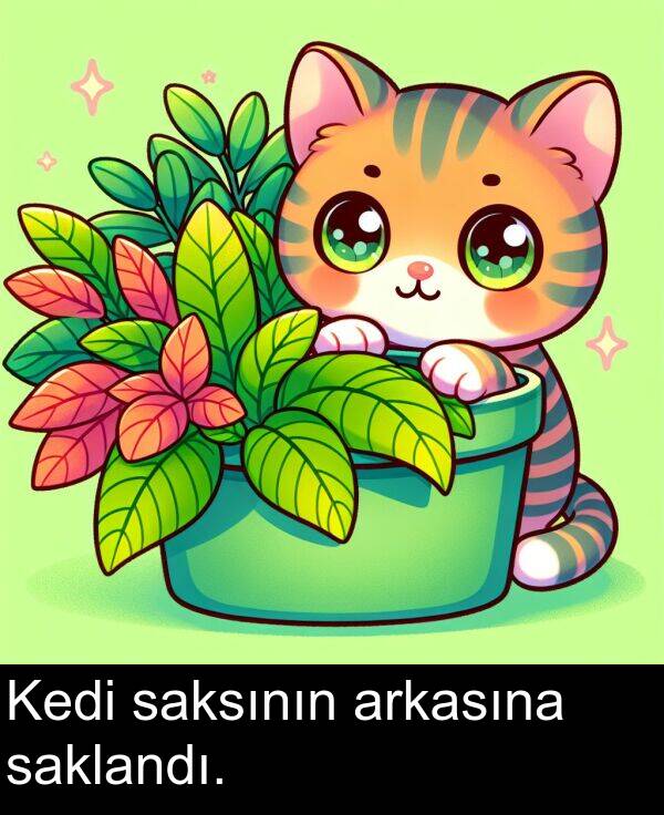 saksının: Kedi saksının arkasına saklandı.