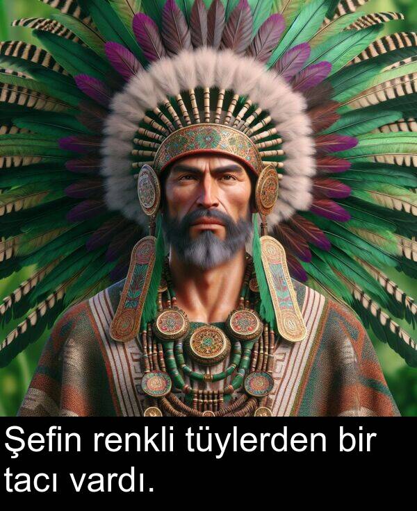 vardı: Şefin renkli tüylerden bir tacı vardı.