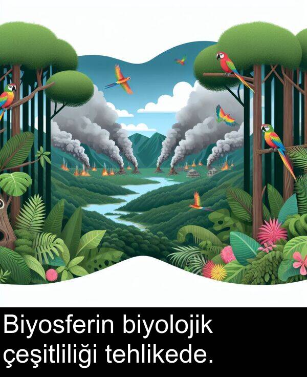 biyolojik: Biyosferin biyolojik çeşitliliği tehlikede.