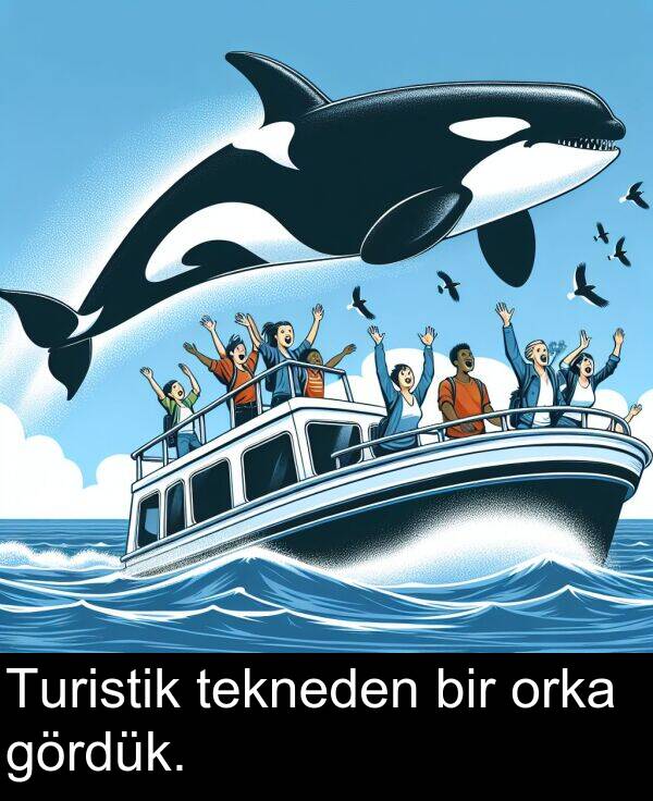tekneden: Turistik tekneden bir orka gördük.