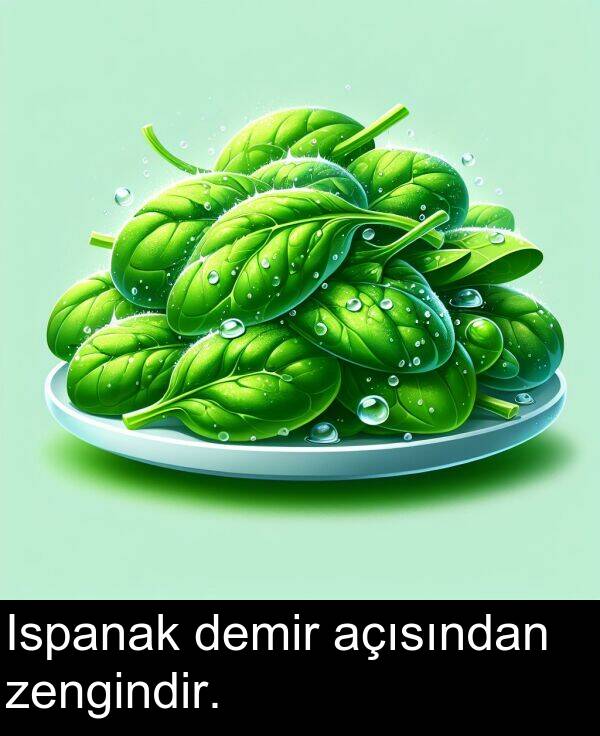 zengindir: Ispanak demir açısından zengindir.