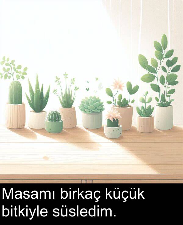 süsledim: Masamı birkaç küçük bitkiyle süsledim.