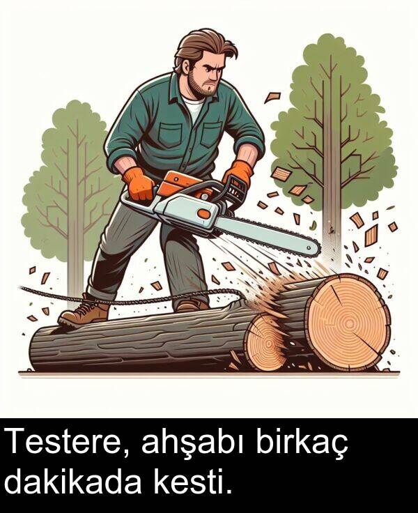 ahşabı: Testere, ahşabı birkaç dakikada kesti.