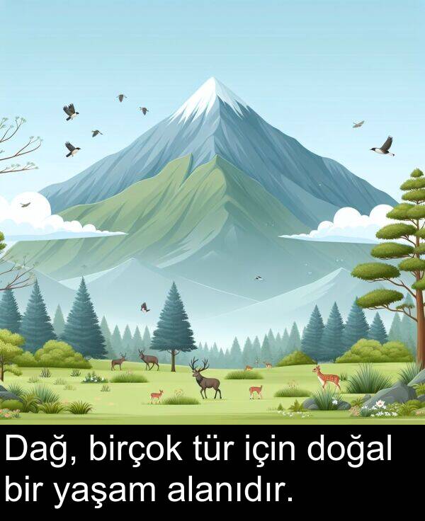 yaşam: Dağ, birçok tür için doğal bir yaşam alanıdır.