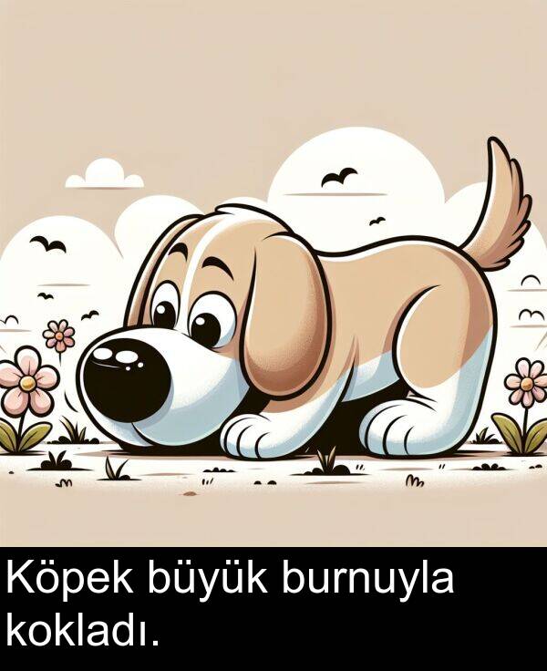 burnuyla: Köpek büyük burnuyla kokladı.