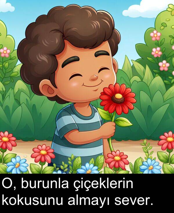 sever: O, burunla çiçeklerin kokusunu almayı sever.