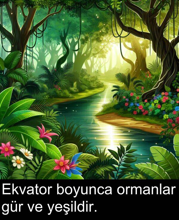 boyunca: Ekvator boyunca ormanlar gür ve yeşildir.