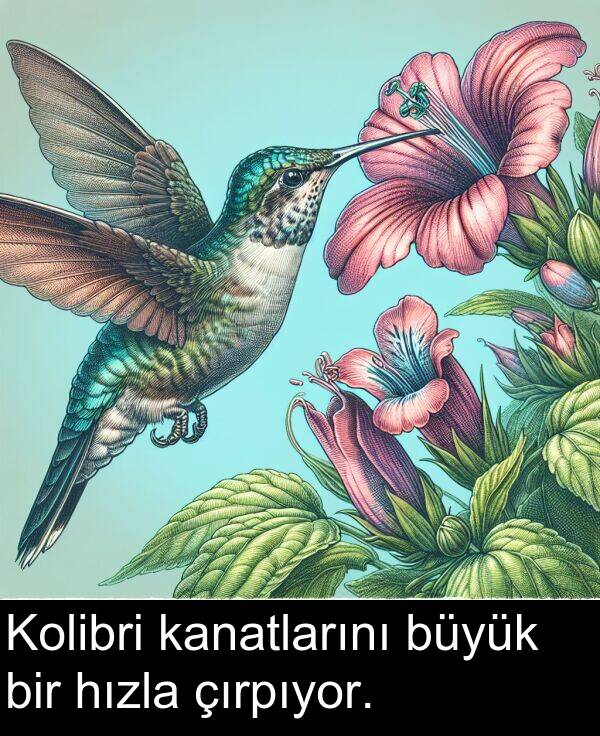 kanatlarını: Kolibri kanatlarını büyük bir hızla çırpıyor.