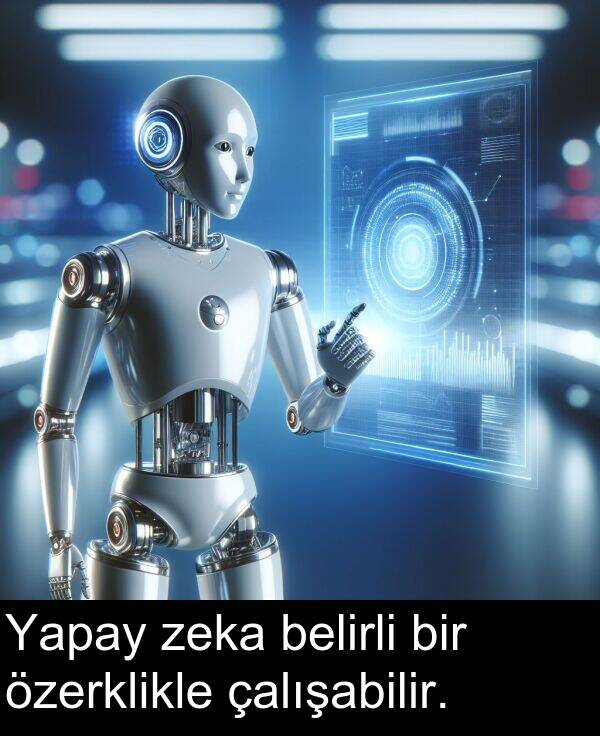 zeka: Yapay zeka belirli bir özerklikle çalışabilir.