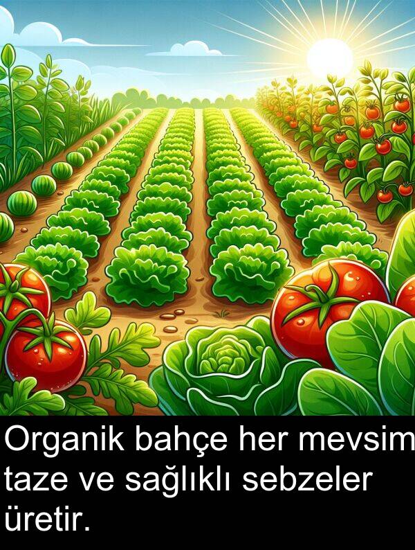 sağlıklı: Organik bahçe her mevsim taze ve sağlıklı sebzeler üretir.