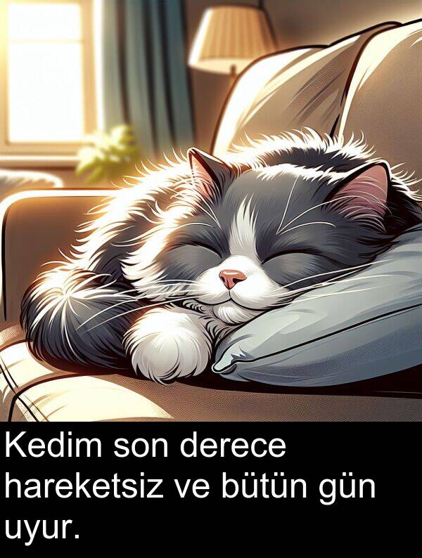 uyur: Kedim son derece hareketsiz ve bütün gün uyur.